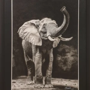 Bhakti Kalpakala Elephant Trunk Raised Charcoal Artwork