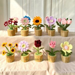 BloomJoy Crochet Flower Pot Set
